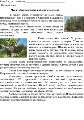 Обложка для материала 2 класс  Комплексная контрольная  работа СОСНЫ 2 вариант