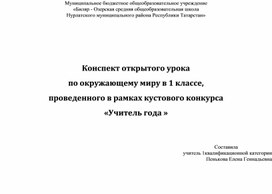 Открытый урок по окружающему миру в 1 классе "Как помочь зимой птицам"