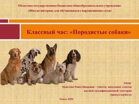 Презентация о породах собак для начальной школы