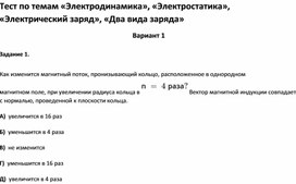 Обложка для материала Тест по темам «Электродинамика»,  «Электрический заряд», «Два вида заряда 10 класс»