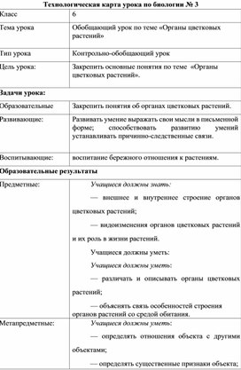 Обобщающий урок "Органы цветковых растений"