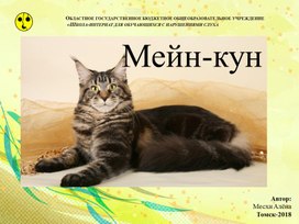 Презентация "Мейн-кун" (В рамках проекта "Этот милый Мурлыка")