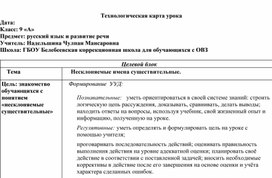 Конспект урока по русскому языку в 9 классе для обучающихся с умственной отсталостью (интеллектуальными нарушениями) 1 вариант на тему "Несклоняемые существительные"