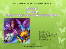 Проект мир бабочек