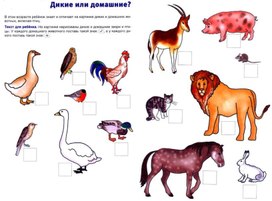Обложка для материала дикие и домашние животные