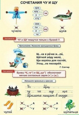 Обложка для материала сочетание ЧУ И ЩУ
