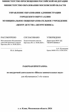 Обложка для материала РАБОЧАЯ ПРОГРАММА  по внеурочной деятельности «Школа занимательных наук»