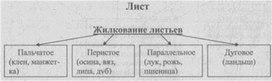 Материал к урокам  биологии