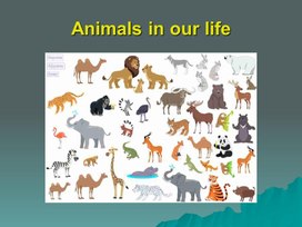 Animals in our life. Презентация к уроку.