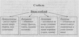 Материал к урокам  биологии