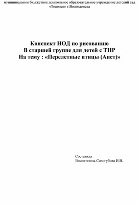 Конспект НОД по рисованию  В старшей группе для детей с ТНР На тему : «Перелетные птицы (Аист)»