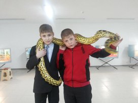 Обложка для материала Экскурсия в террариум «Эти забавные животные».