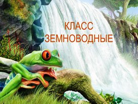 Класс Земноводные