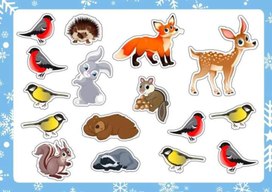 Обложка для материала животные
