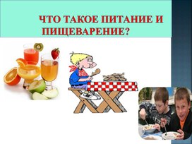 Презентация к уроку тема " Что такое питание и пищеварение" 8 класс биологии