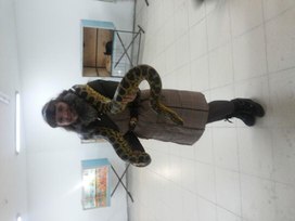 Обложка для материала Экскурсия в террариум «Эти забавные животные».