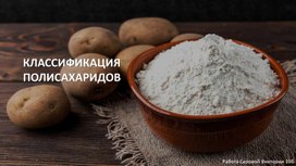 Классификация полисахаридов