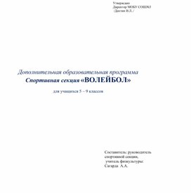 Рабочая программа по волейболу.