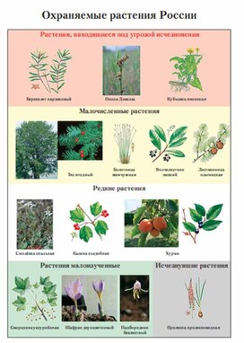 Обложка для материала Окружающий мир для начальных классов_схема_39
