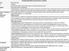 Обложка для материала Склонение имён существительных во множественном числе