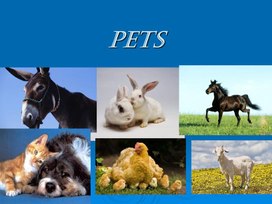 Презентация "Pets and other animals"