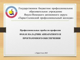 Профессиональные пробы по профессии  09.01.01 Наладчик аппаратного и программного обеспечения