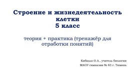 Строение и жизнедеятельность растительной клетки