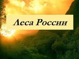 Презентация на тему: "Леса России"