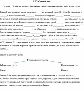 Инструктивная карточка по теме "ЦНС. Спинной мозг"