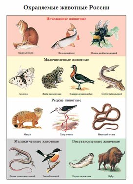 Обложка для материала Окружающий мир для начальных классов_схема_31