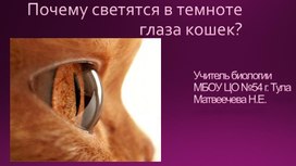 Обложка для материала Глаза кошек.