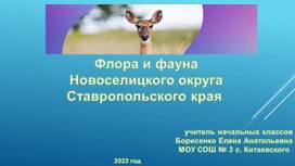 Флора и фауна Новоселицкого округа