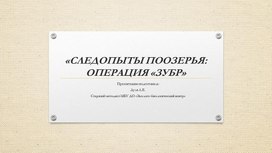 Обложка для материала Презентация Следопыты Поозерья Операция Зубр
