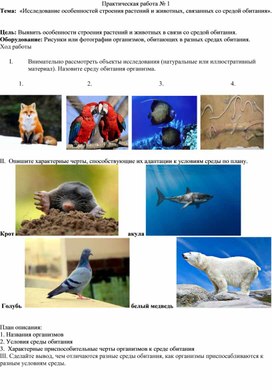 Пр.р. по биологии 5 класс на тему "Среда обитания"