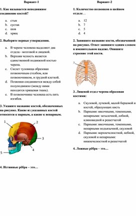 Проверочная работа на тему: Кости, их строение и соединение костей