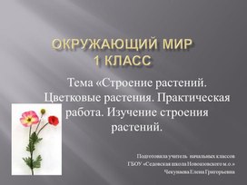 Обложка для материала Тема «Разнообразие растений в природе. Дикорастущие и культурные         растения