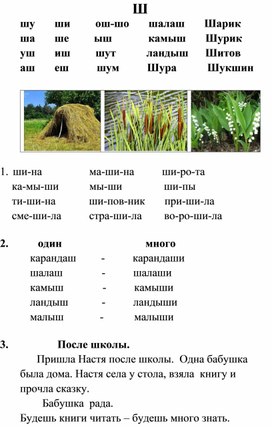 Дополнительный материал для чтения в период обучения грамоте по программе "Школа России". "Буква Ш"