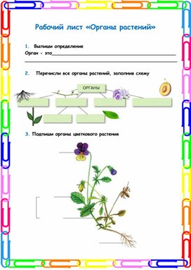 "Органы растений"