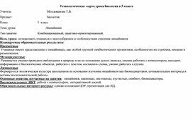 Урок биологии в 5 классе. Лишайники