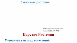 Презентация по теме "Споровые растения"