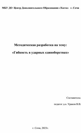 Гибкость в ударных единоборствах