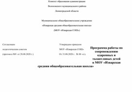 Обложка для материала Проограмма и план работы по сопровождению одаренных и талантливых детей