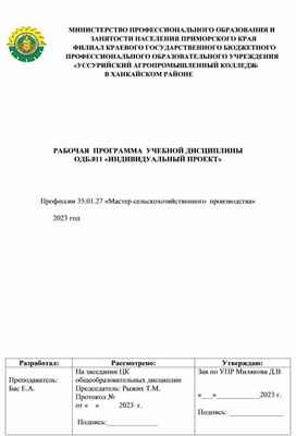 Рабочая программа по дисциплине Индивидуальный проект