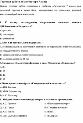 Тестовая работа по литературе 7 класс