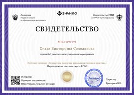 Обложка для материала Свидетельство интернет-семинара