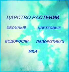 Учебные стенды по предмету ботаника на тему "Царство растений"