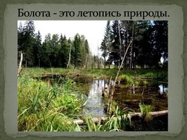 Обложка для материала Болото-летопись природы