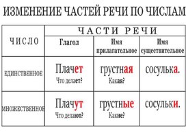 Обложка для материала изменение частей речи по числам