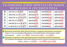 Обложка для материала склонение имен прилагательных мужского и среднего рода