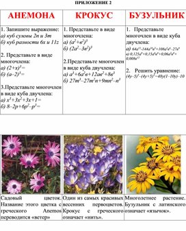 Обложка для материала Математика_7_ФСУ_ПРИЛОЖЕНИЕ 2 (2)